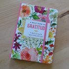 Journal titled - Daily dose of gratitude