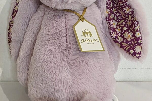 New_JellyCats_Feb26_1 New_JellyCats_Feb26_1