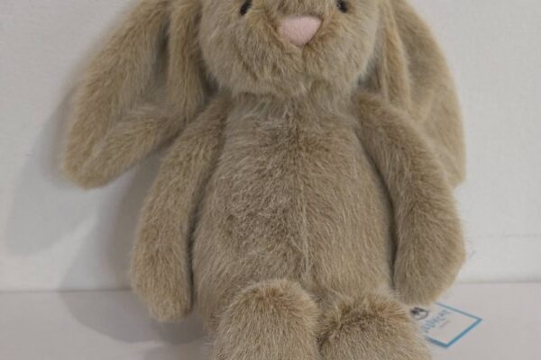 New_JellyCats_Feb26_3 New_JellyCats_Feb26_3